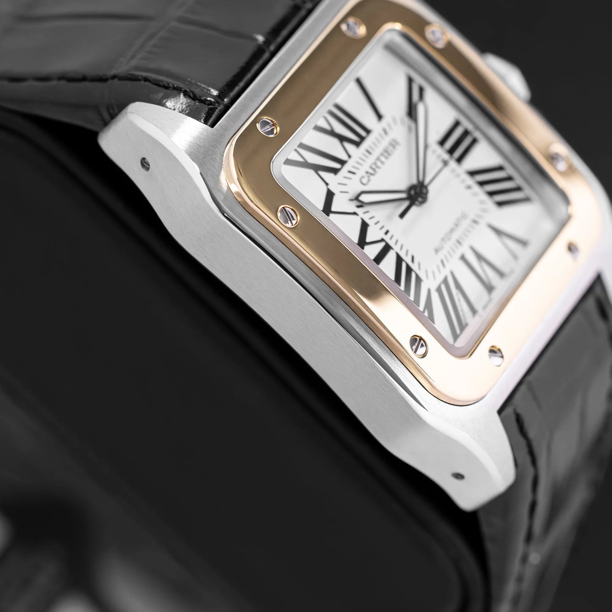 Cartier Santos 100 W20072X7