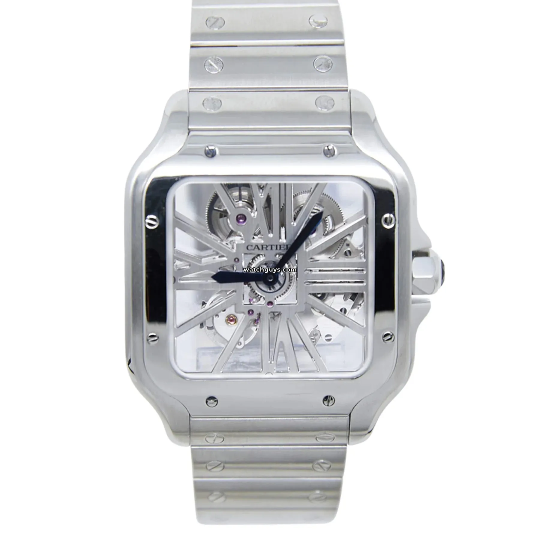 Cartier Santos Skeleton Large WHSA0015