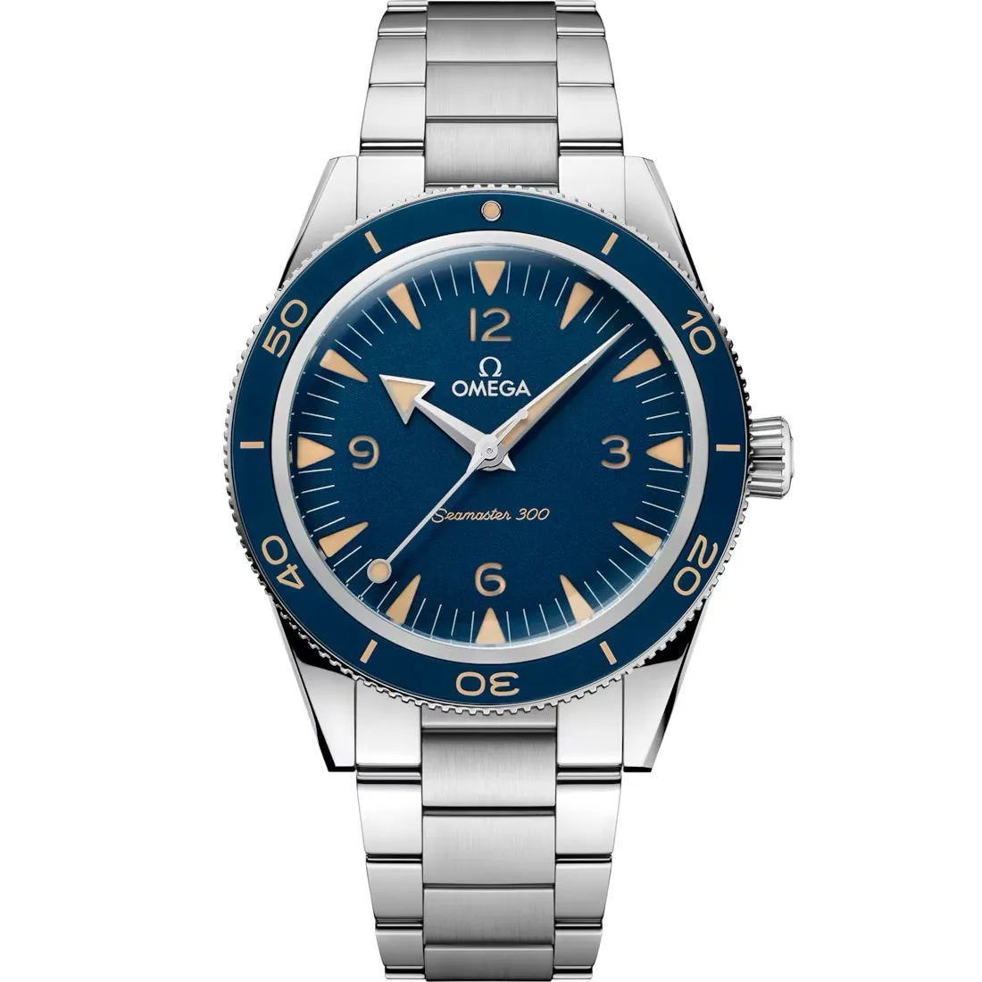 Omega Seamaster 300 41mm Steel on Steel 234.30.41.21.03.001