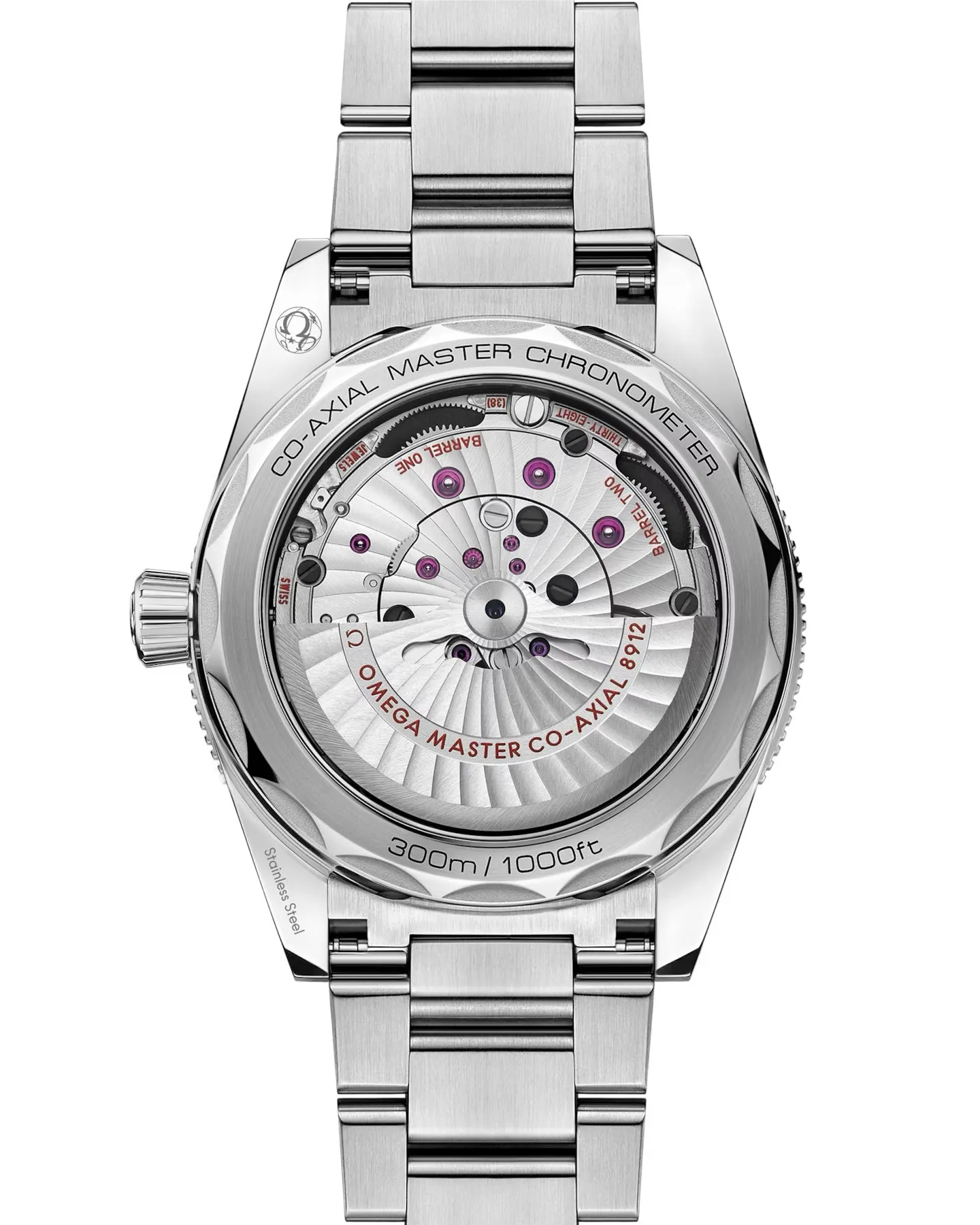 Omega Seamaster 300 41mm Steel on Steel 234.30.41.21.03.001