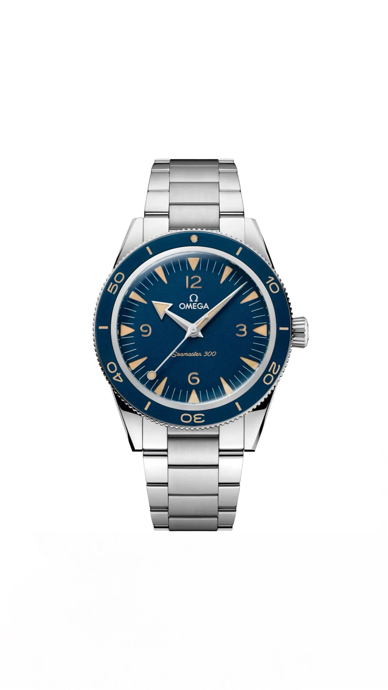 Omega Seamaster 300 41mm Steel on Steel 234.30.41.21.03.001