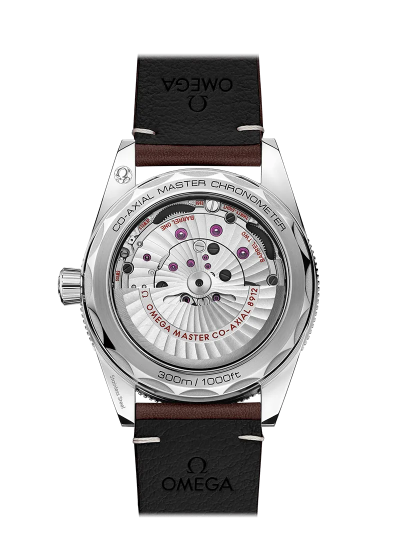 Omega Seamaster 300 Co-Axial Master Chronometer 41mm Steel on Leather Strap 234.32.41.21.01.001