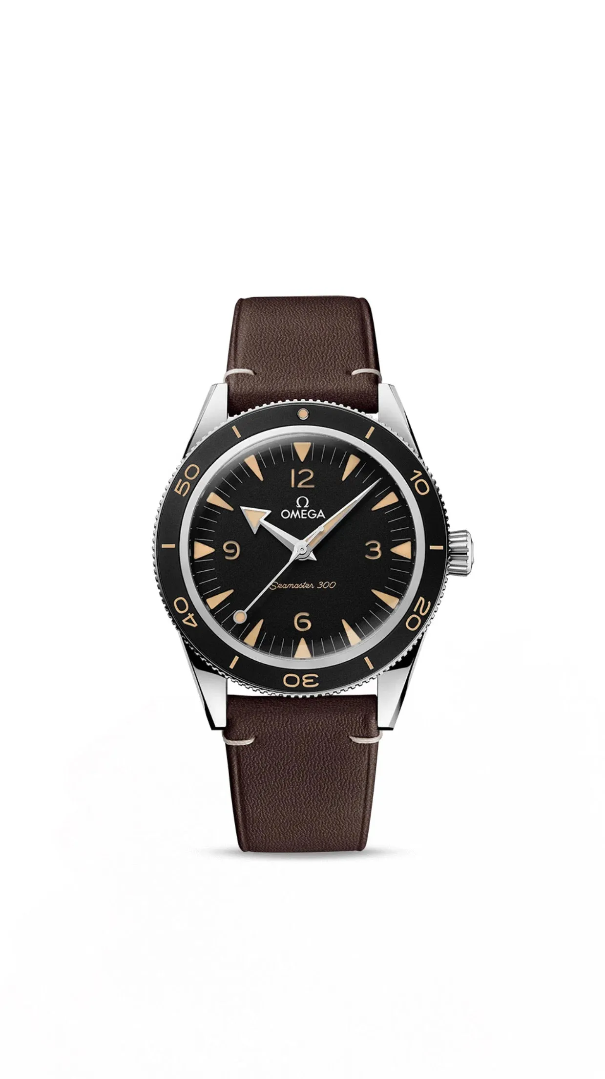 Omega Seamaster 300 Co-Axial Master Chronometer 41mm Steel on Leather Strap 234.32.41.21.01.001