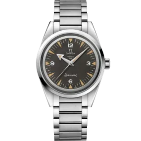 Omega Seamaster Railmaster 38 mm, steel on steel