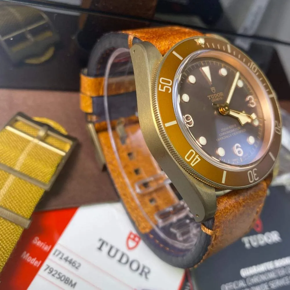 Tudor Black Bay Bronze 79250BM (2018)