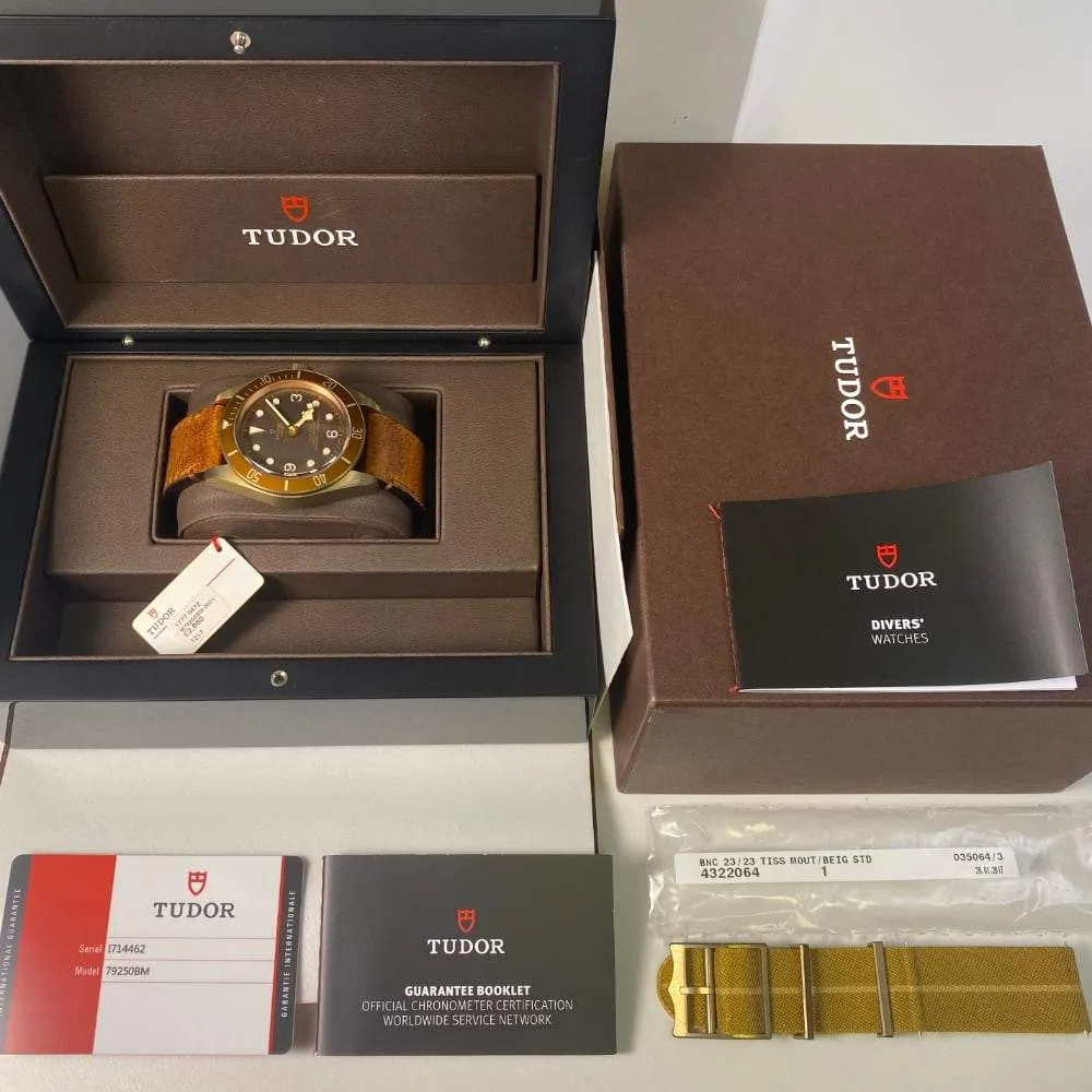 Tudor Black Bay Bronze 79250BM (2018)