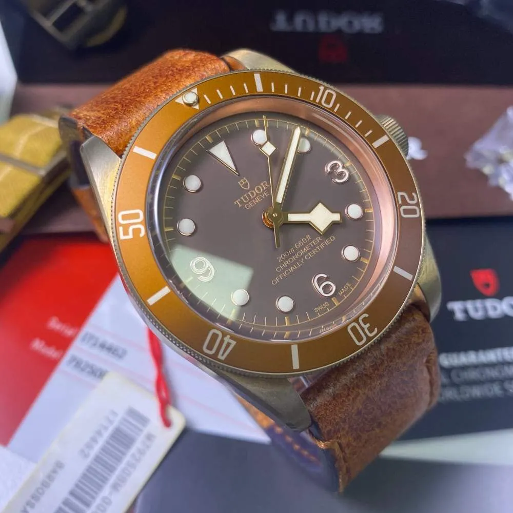 Tudor Black Bay Bronze 79250BM (2018)