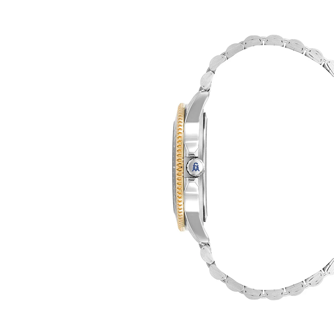 TWO TONE CLASSIC WATCH SILVER MULTI